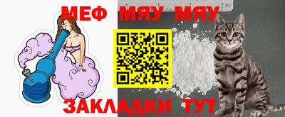 крисы Кулебаки
