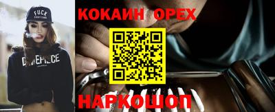крисы Кулебаки