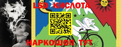 крисы Кулебаки
