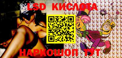 крисы Кулебаки
