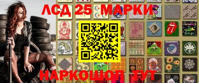 крисы Кулебаки