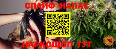 крисы Кулебаки