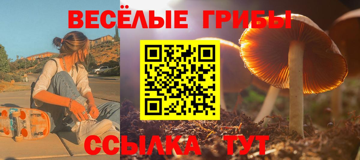 Галлюциногенные грибы Magic Shrooms Елец